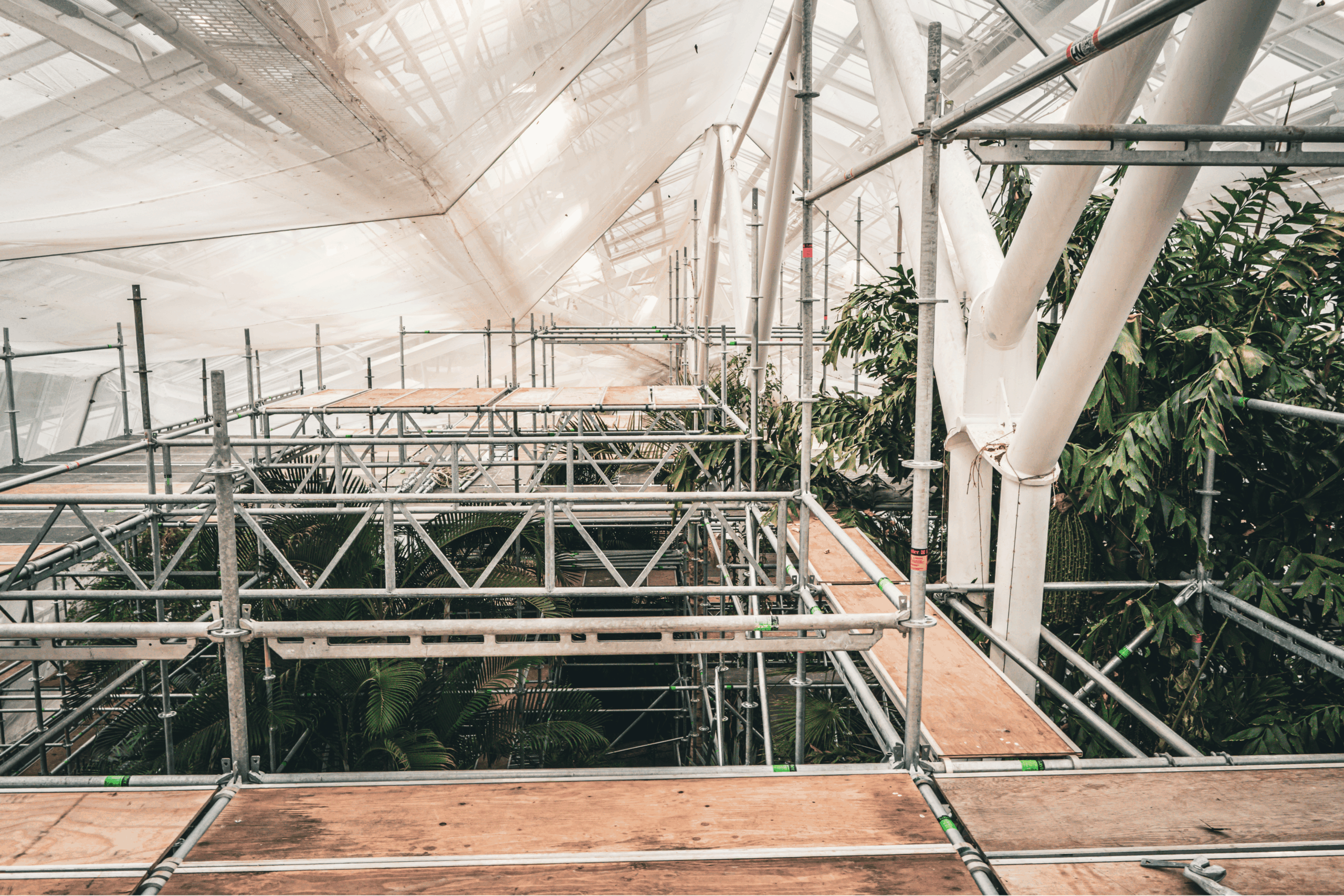 Butterfly Conservatory Scaffolding Project